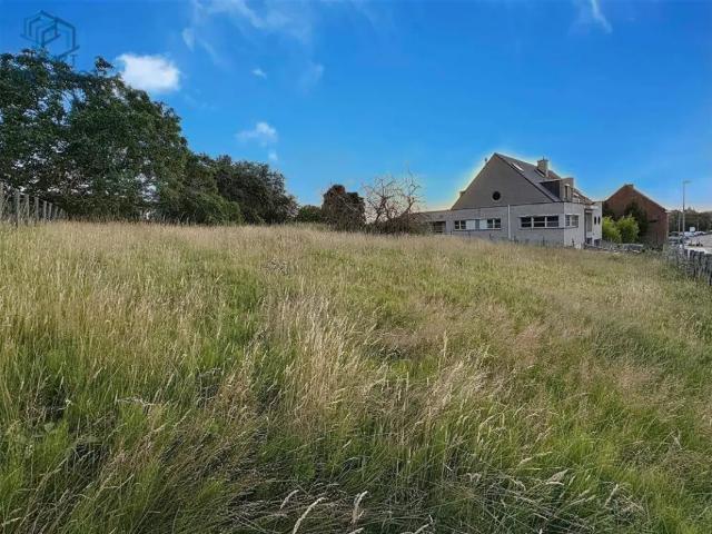 Terrain vente à Grammont, Oost-Vlaanderen