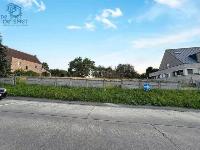 Terrain vente à Grammont, Oost-Vlaanderen