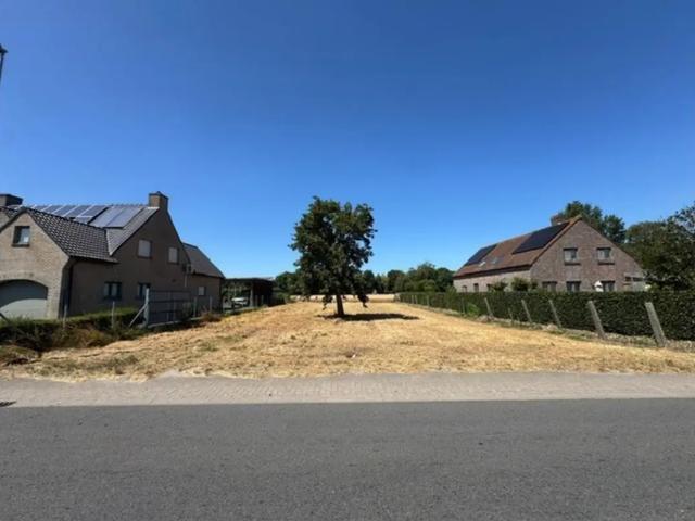 Terrain vente à Ruddervoorde, West-Vlaanderen