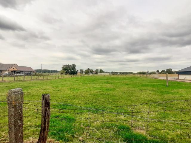 Terrain vente à Hertsberge, West-Vlaanderen
