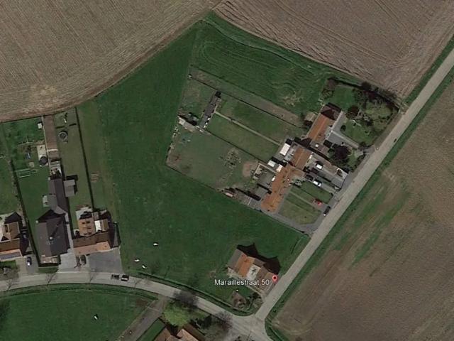 Terrain vente à Avelgem, West-Vlaanderen