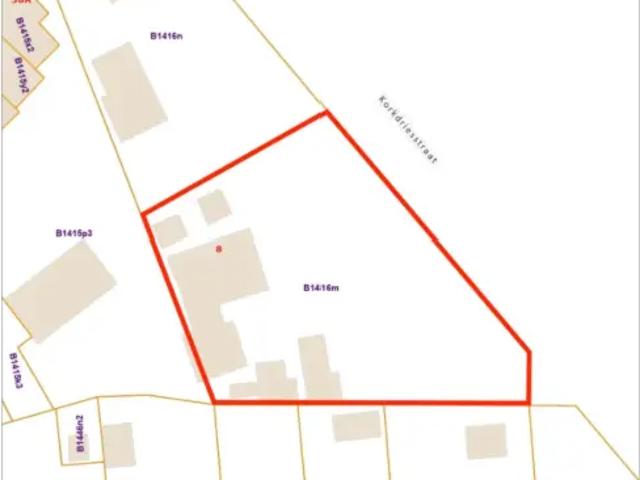 Terrain vente à Beringen, Limburg