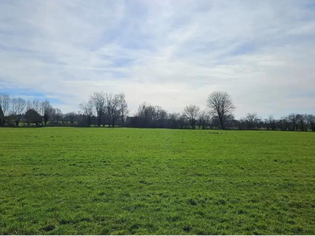 Terrain vente à Wallonie