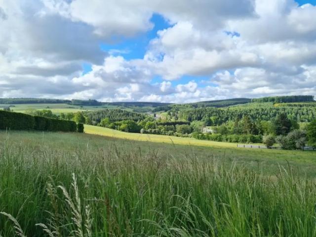 Terrain vente à Ortheuville, Tenneville