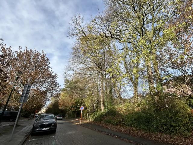 Terrain vente à Watermaal-bosvoorde, Bruxelles