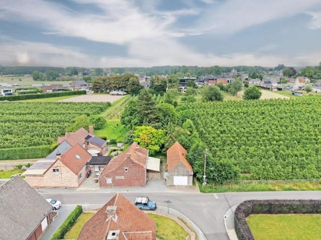 Terrain vente à Elene, Oost-Vlaanderen