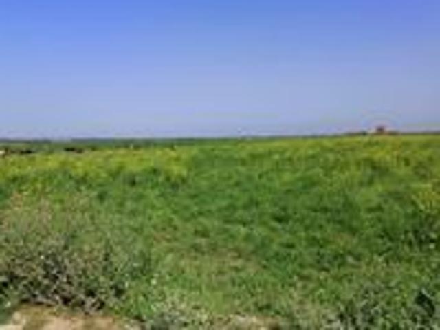 Terrain vente à Borj El Amri