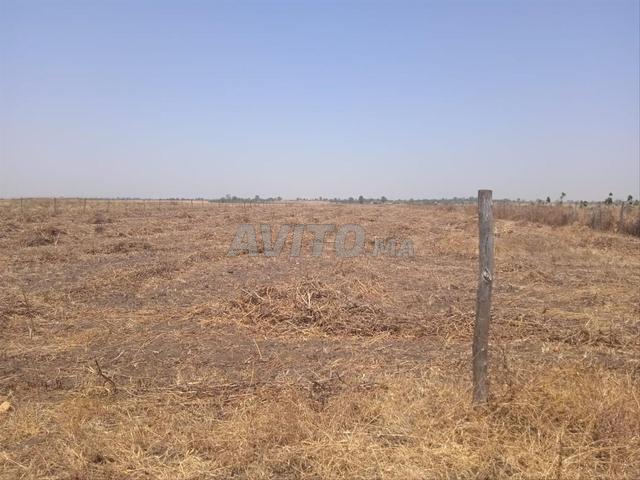 Propriété vente à Slimane, Gharb-Chrarda-Beni Hssen