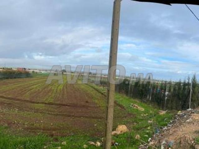 Propriété vente à El Ma, Gharb-Chrarda-Beni Hssen