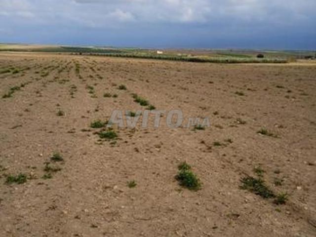 Propriété vente à Mellal