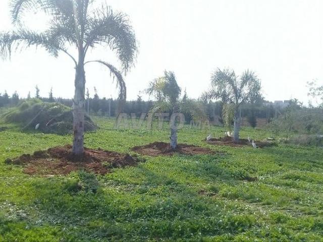 Propriété vente à Skhirat