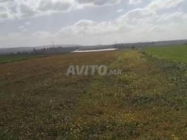 Propriété vente à Meknès