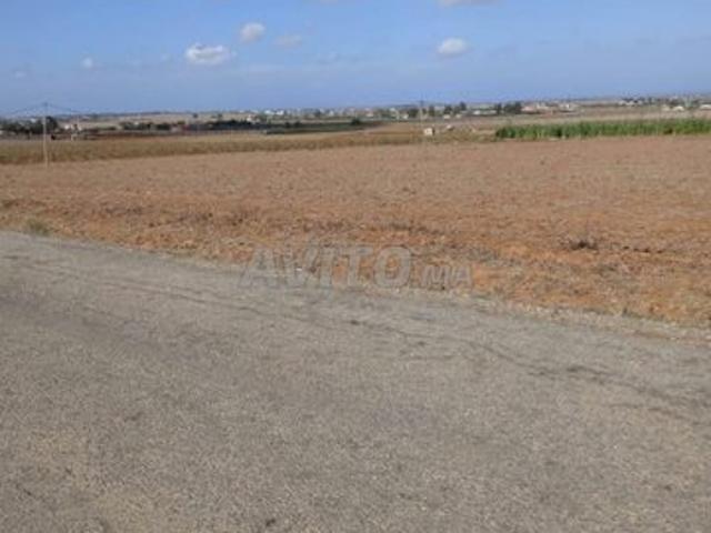 Propriété vente à Gharb-Chrarda-Beni Hssen