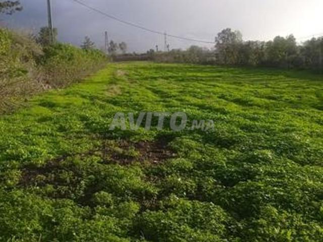 Propriété vente à Gharb-Chrarda-Beni Hssen