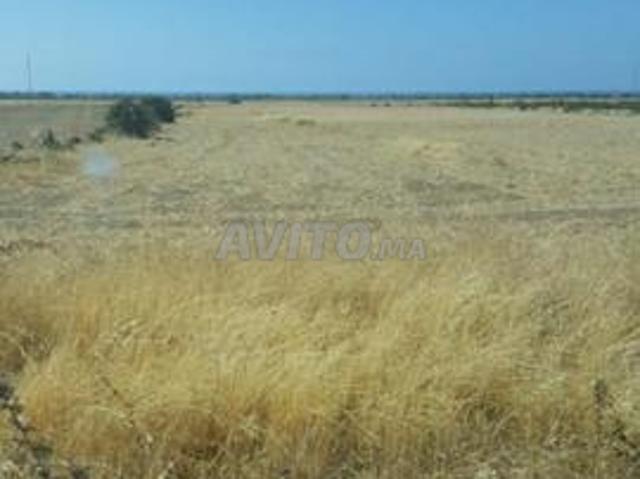 Propriété vente à Gharb-Chrarda-Beni Hssen