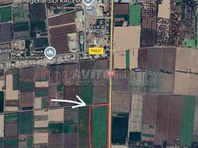 Propriété vente à Sidi Qacem
