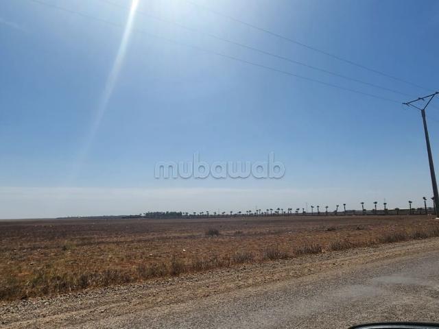 Terrain vente à Berrechid, Gharb-Chrarda-Beni Hssen