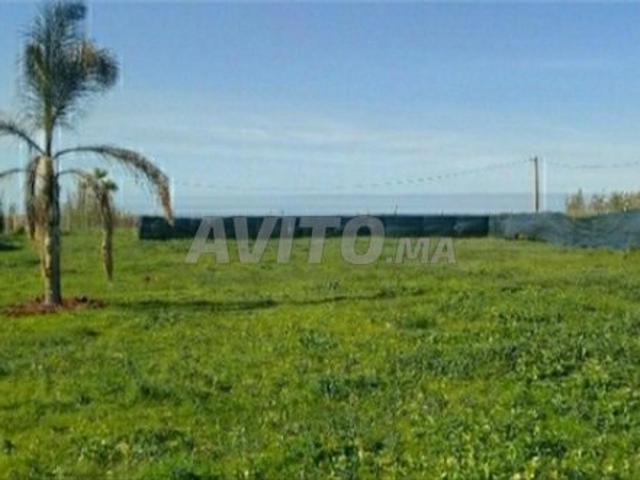 Propriété vente à Skhirat, Rabat-Salé-Zemmour-Zaër