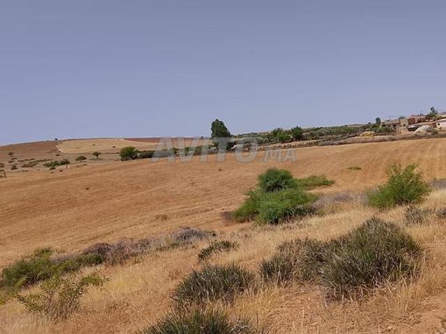 Propriété vente à Khémisset