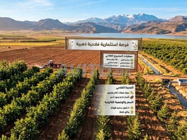 Propriété vente à Mellal