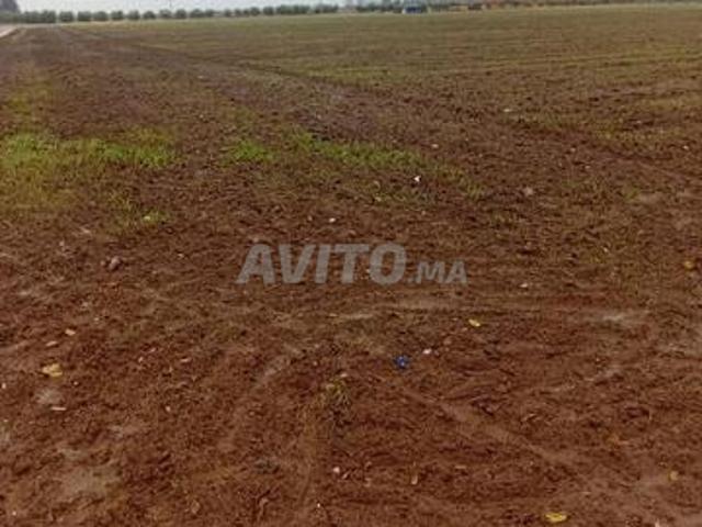 Propriété vente à Mellal