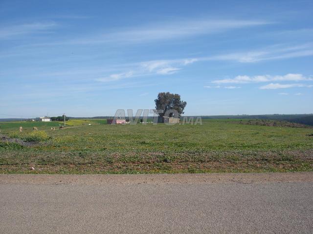 Propriété vente à Slimane, Gharb-Chrarda-Beni Hssen