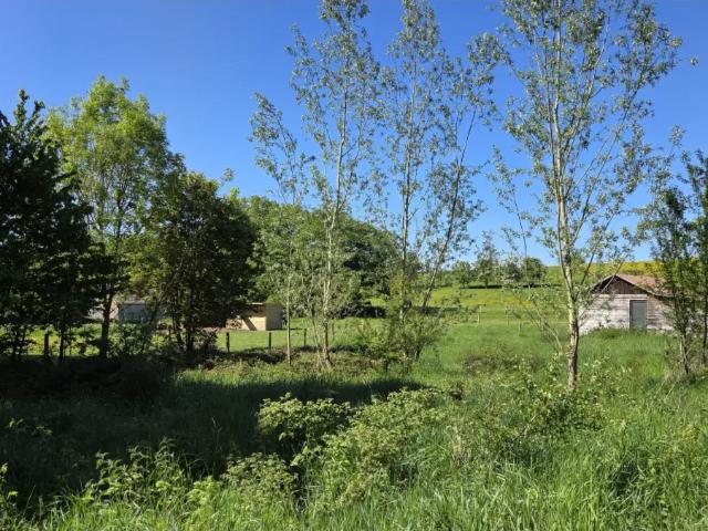 Terrain vente à Saint-hubert, Wallonie
