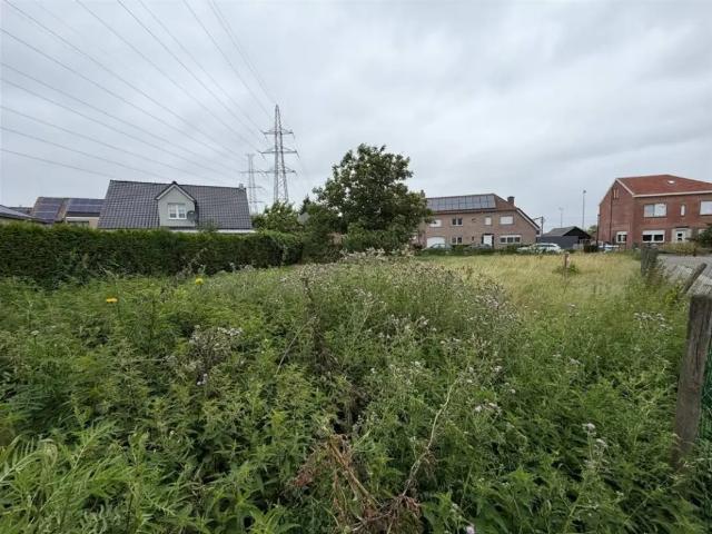 Terrain vente à Denderleeuw, Oost-Vlaanderen