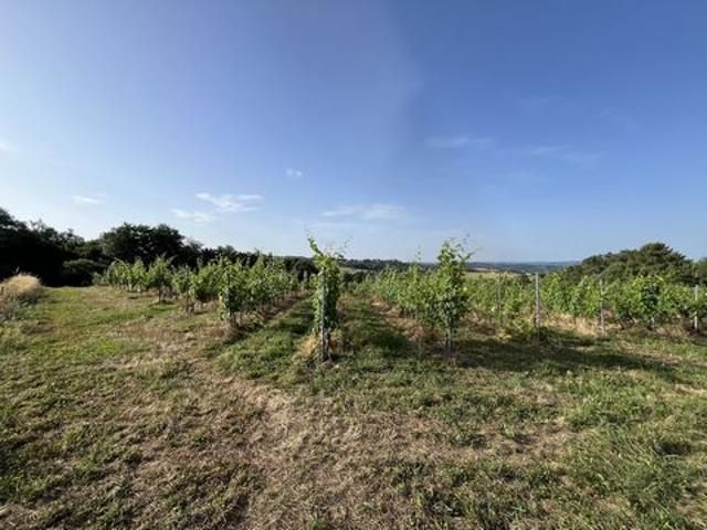Terrain vente à Brive-la-Gaillarde, Puy-d'arnac