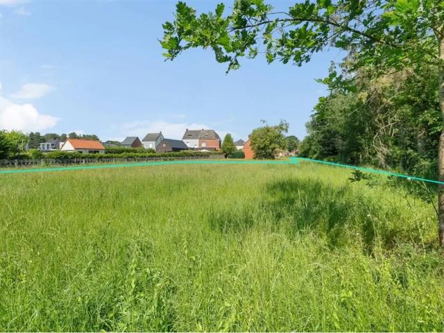 Terrain vente à Montaigu-zichem, Brabant