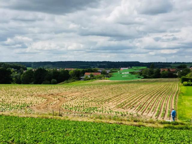 Terrain vente à Braine-le-château, Wallonie