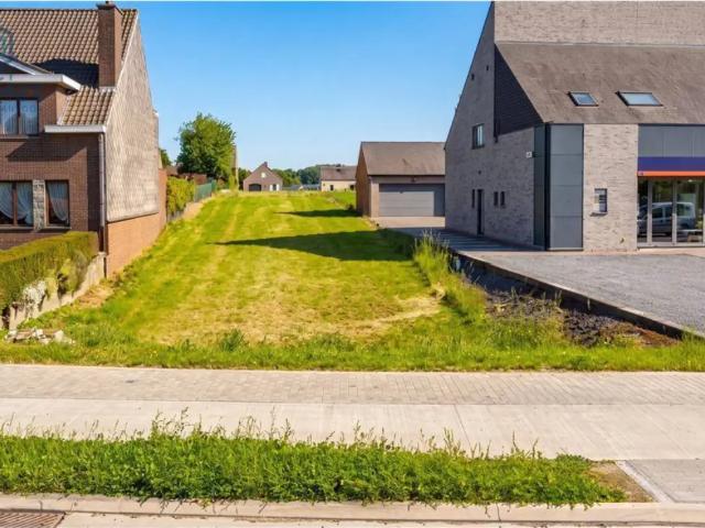 Terrain vente à Opbrakel, Oost-Vlaanderen
