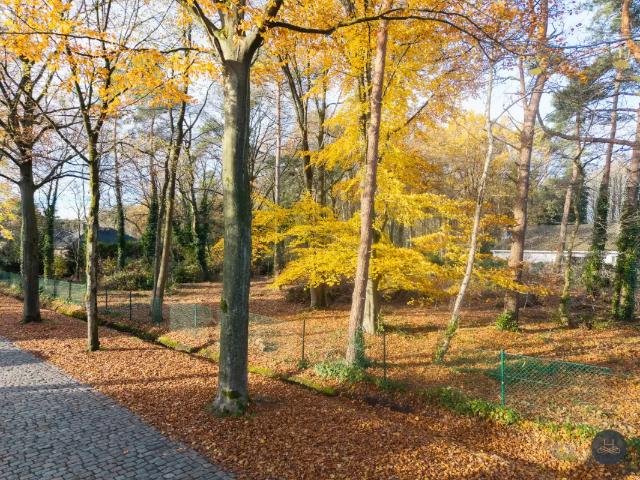 Terrain vente à Brasschaat, Antwerpen