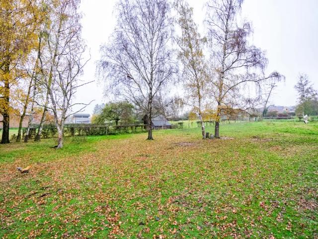 Terrain vente à Burdinne, Wallonie