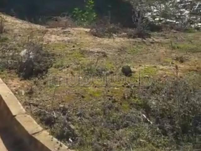 Terrain vente à Sidi Allal El Bahraoui