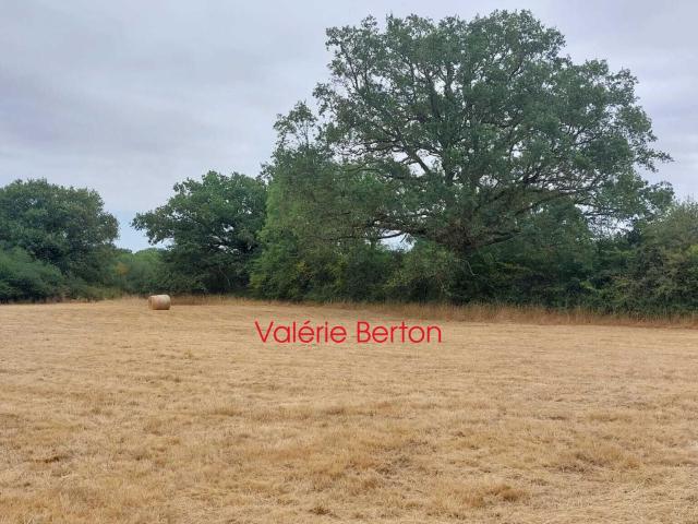 Terrain vente à Châteauroux, Bouesse