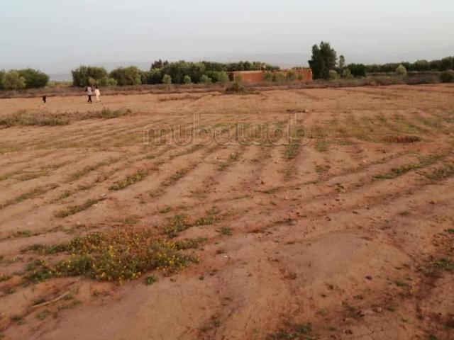 Terrain vente à Al Haouz, L'Oriental