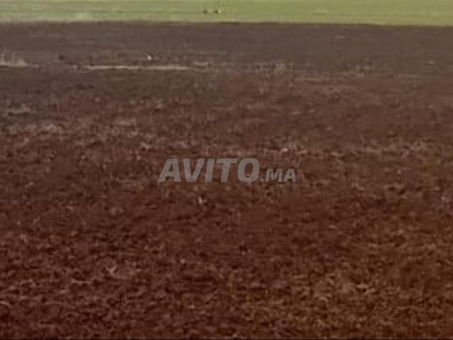 Propriété vente à Mellal