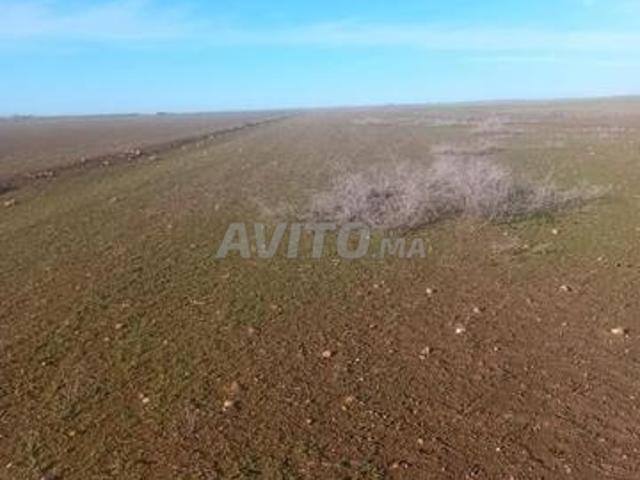 Propriété vente à Mellal