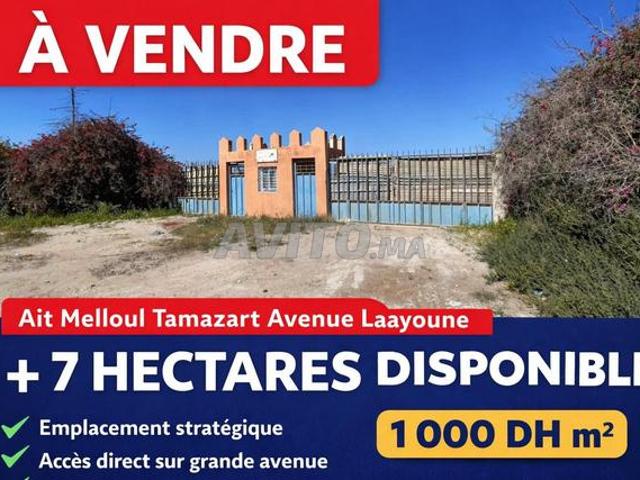 Propriété vente à Aït Melloul, Oued ed Dahab-Lagouira