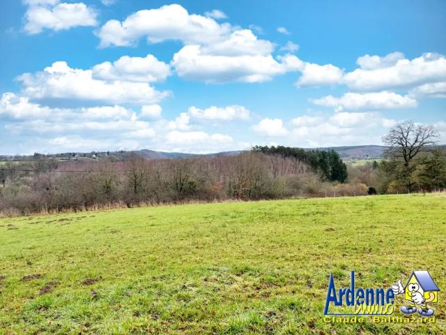 Terrain vente à Érezée, Wallonie