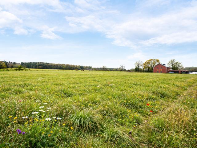 Terrain vente à Ferrieres, Wallonie