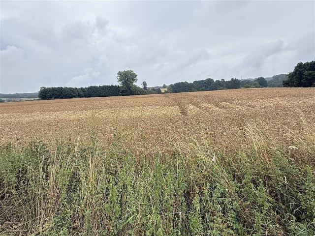 Terrain vente à Florennes, Wallonie