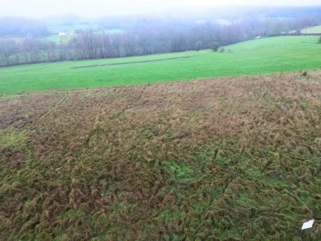 Terrain vente à Forz, Wallonie