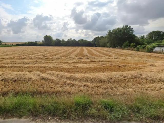 Terrain vente à Fernelmont, Wallonie