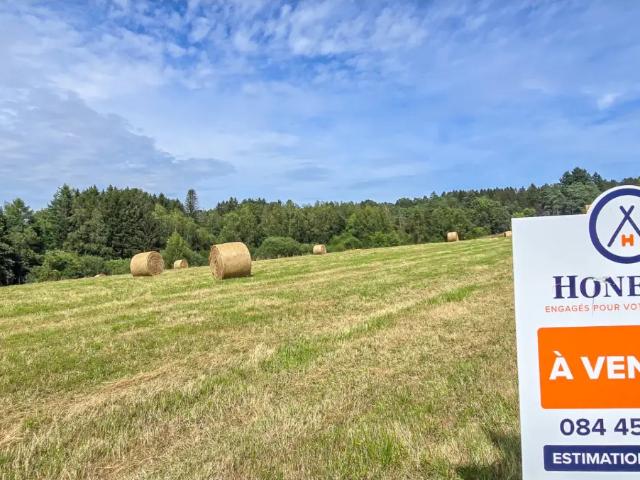 Terrain vente à Gedinne, Wallonie