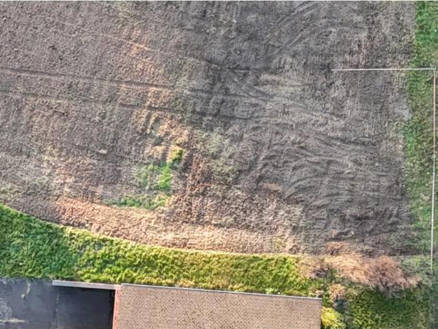 Terrain vente à Geel, Antwerpen