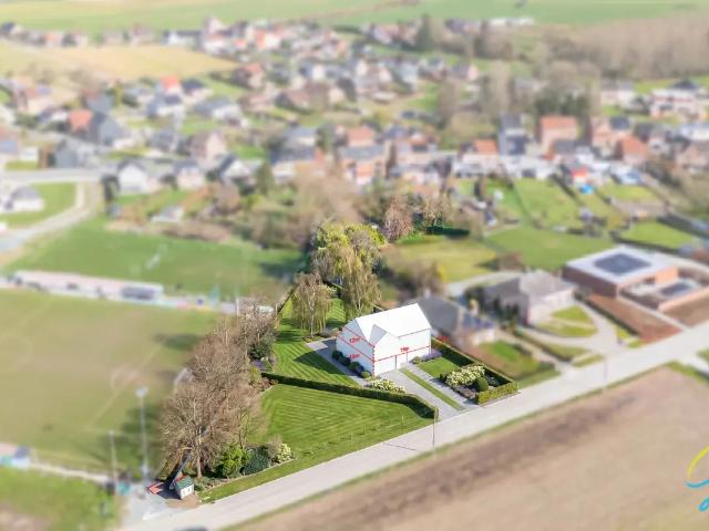 Terrain vente à Grammont, Oost-Vlaanderen