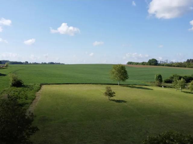 Terrain vente à Graven, Wallonie