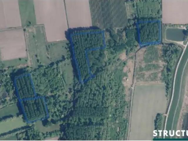 Terrain vente à Hamme, Oost-Vlaanderen